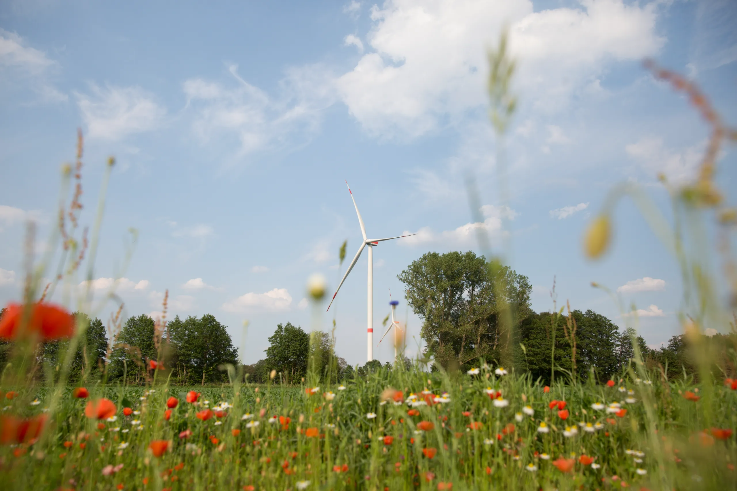 Hof Ungru Erneuerbare Energien