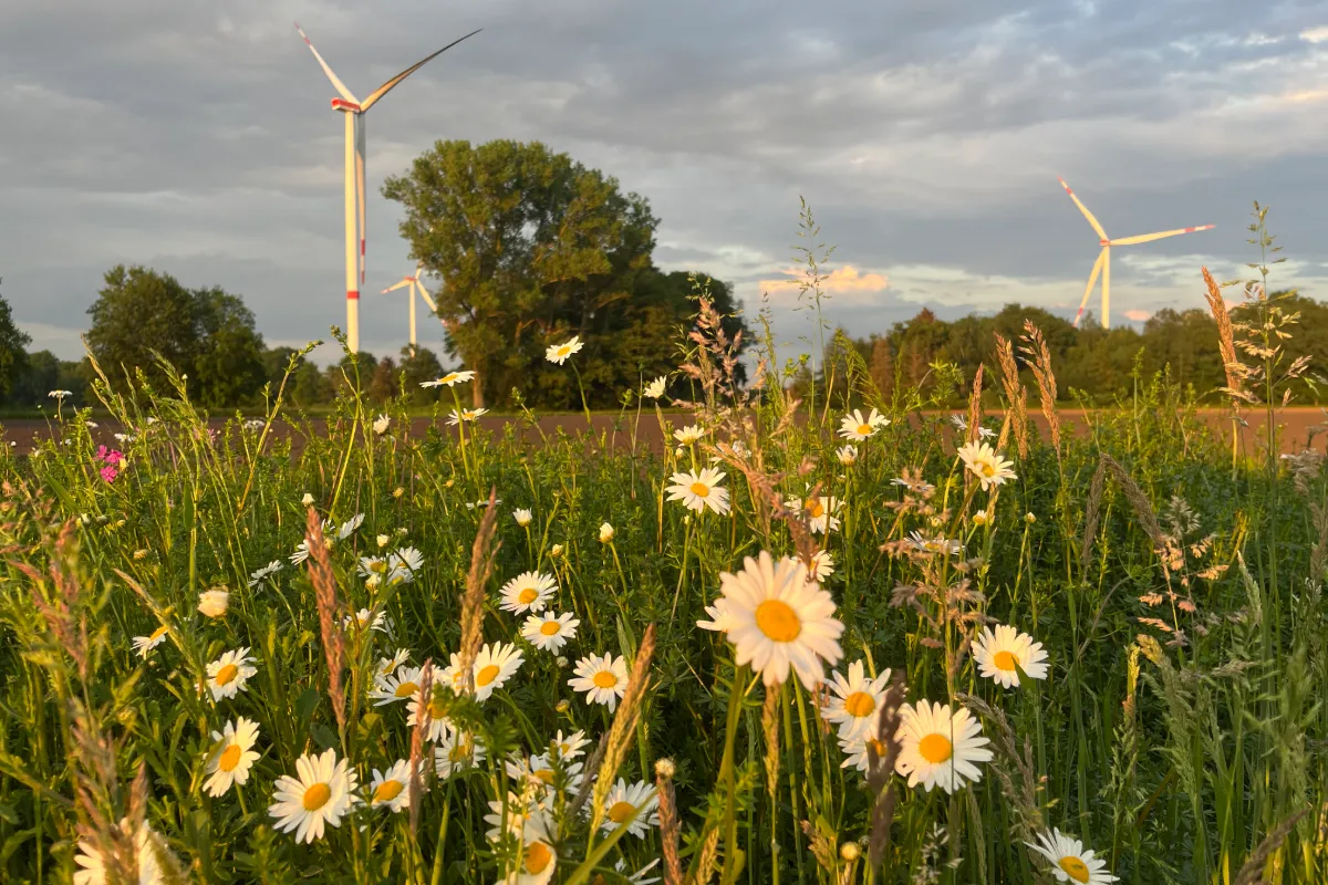 Erneuerbare Energien Hof Ungru